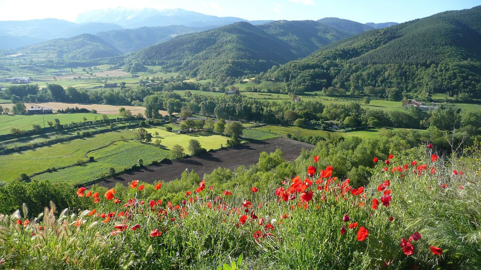 田園風景の写真です。 手前側に赤い花が咲いており、畑や山の美しい風景がその向こうに広がっています。アイキャッチ画像です。